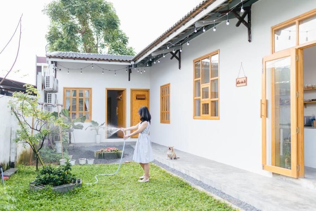 Review Nhà của Te: Hostel & tea room gần sân bay Đà Nẵng, có bếp và không gian vườn