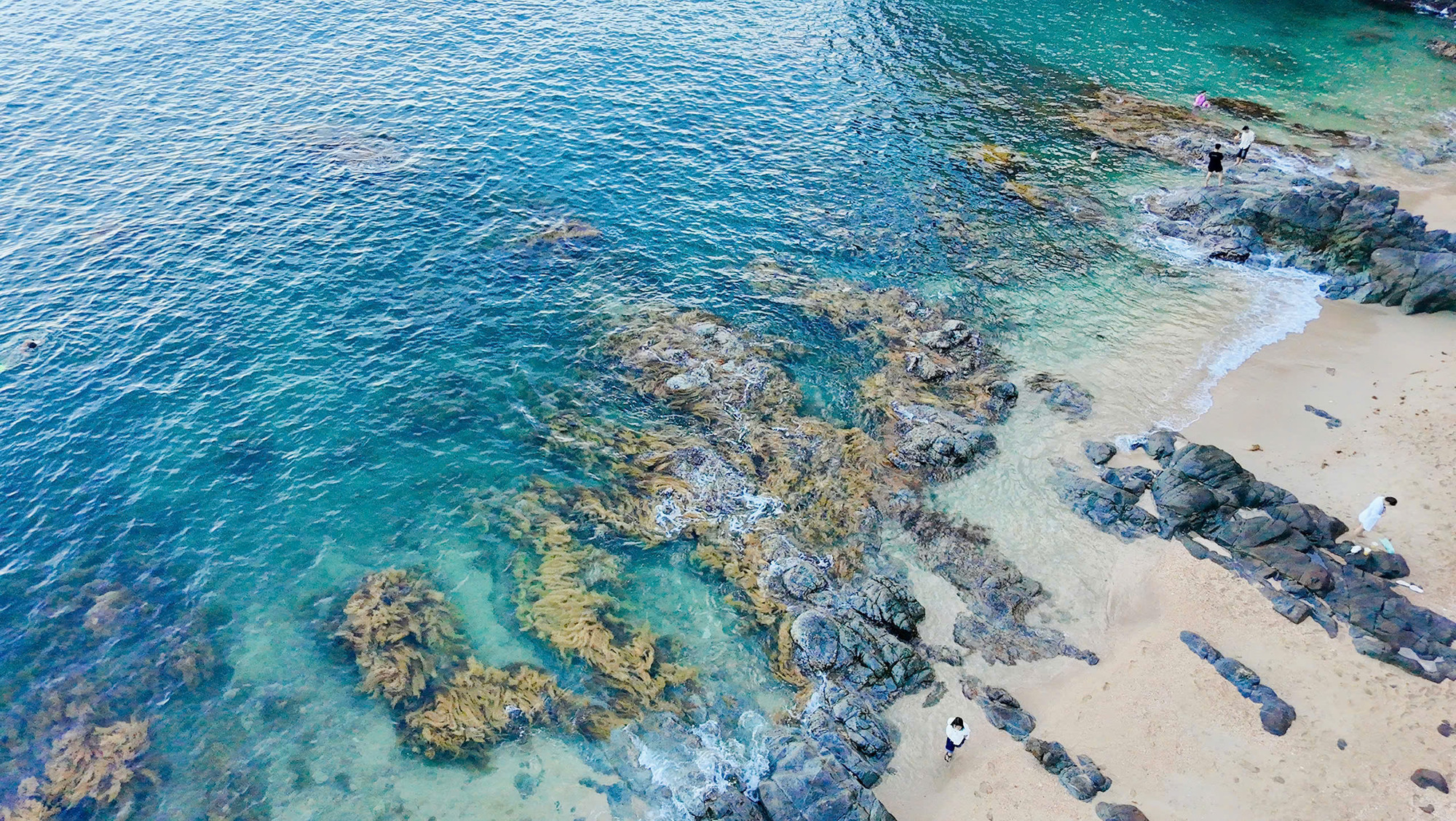 Ghềnh Bàng: Địa Điểm Du Lịch Hoang Sơ Đẹp Nhất Sơn Trà Đà Nẵng