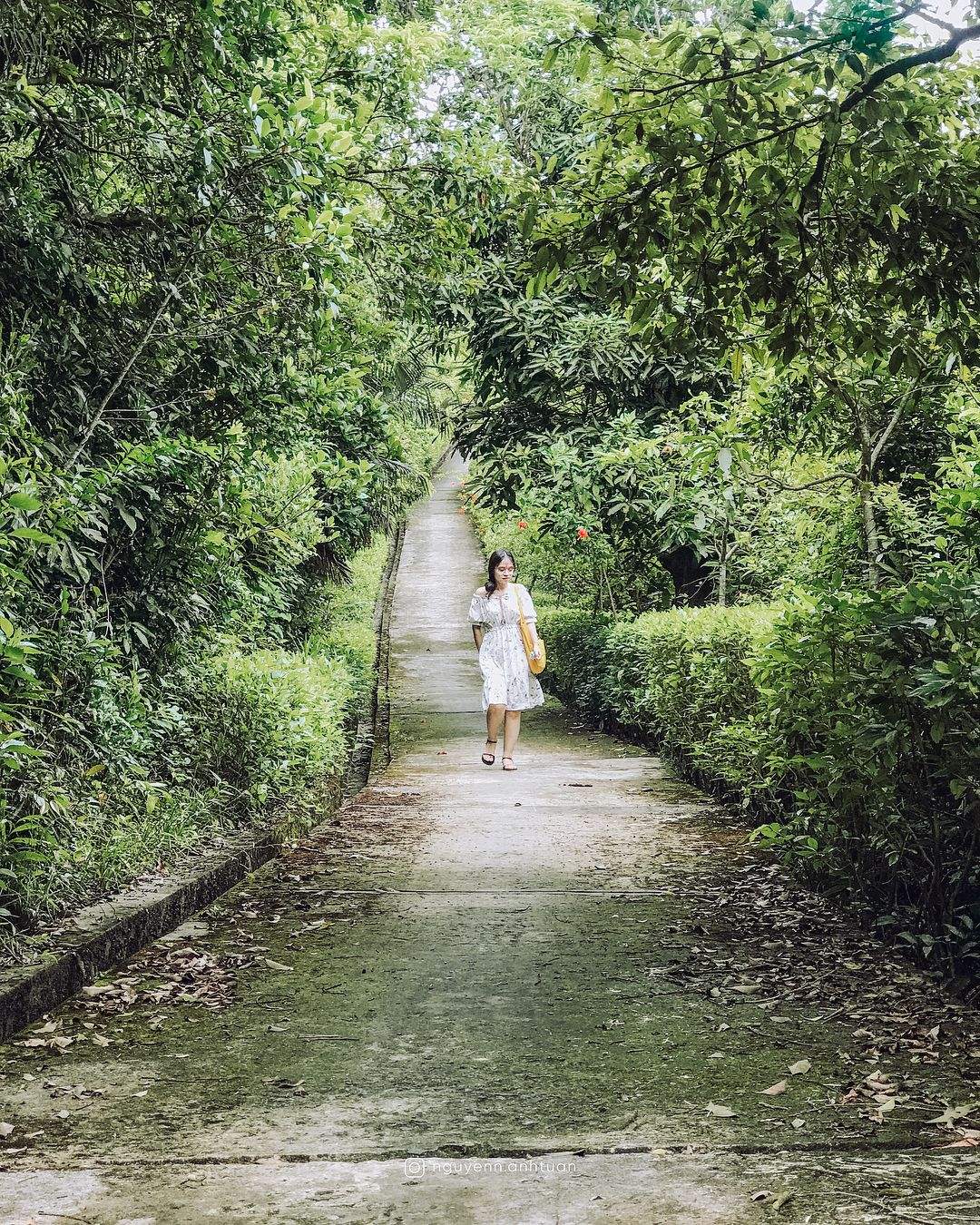 Nhất Lâm Thủy Trang Trà: Khám Phá Vẻ Đẹp Nguyên Sơ Giữa Lòng Đà Nẵng