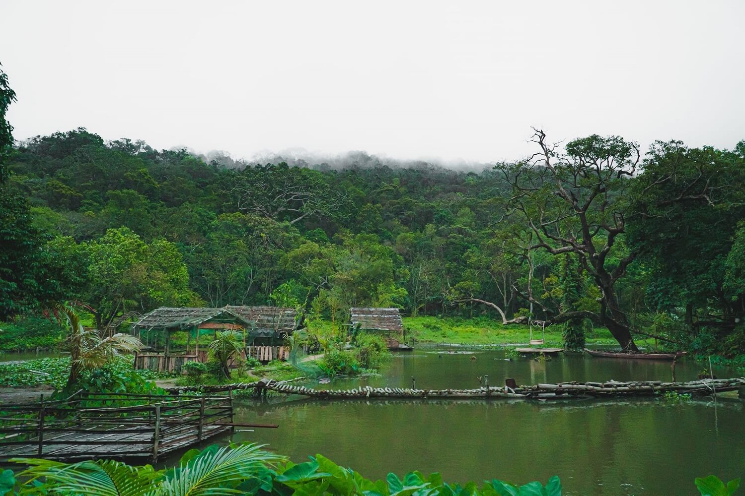 Nhất Lâm Thủy Trang Trà: Khám Phá Vẻ Đẹp Nguyên Sơ Giữa Lòng Đà Nẵng