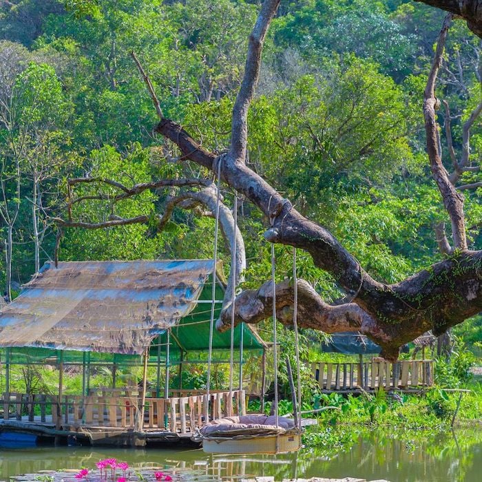 Nhất Lâm Thủy Trang Trà: Khám Phá Vẻ Đẹp Nguyên Sơ Giữa Lòng Đà Nẵng