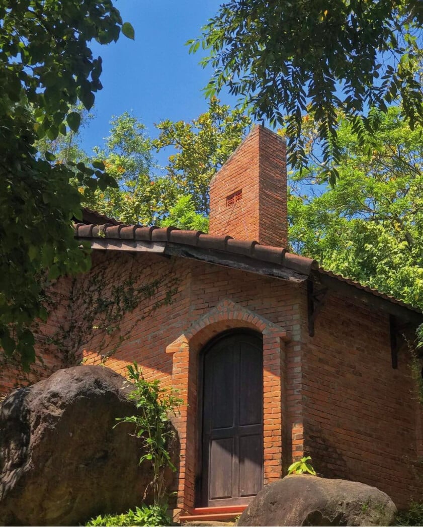 Sơn Trà: Biểu Tượng Thiên Nhiên Và Hấp Dẫn Du Lịch Đà Nẵng