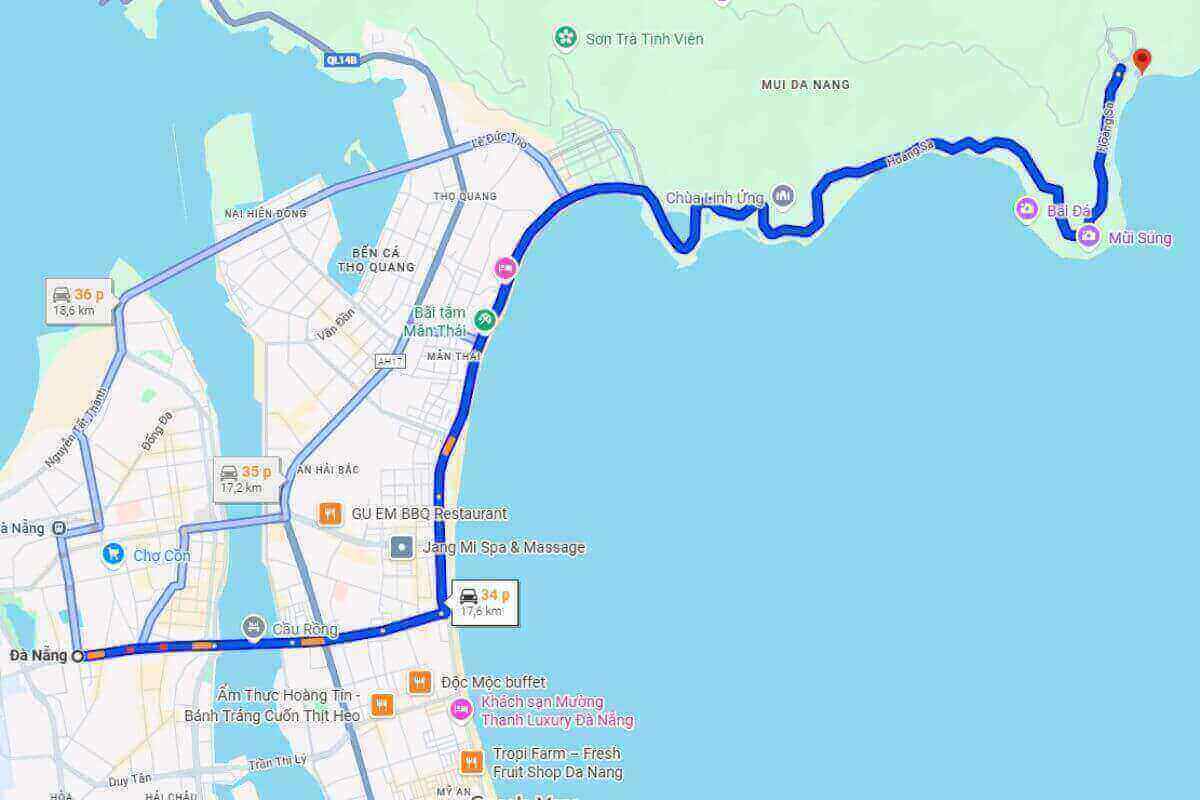 Sơn Trà: Biểu Tượng Thiên Nhiên Và Hấp Dẫn Du Lịch Đà Nẵng