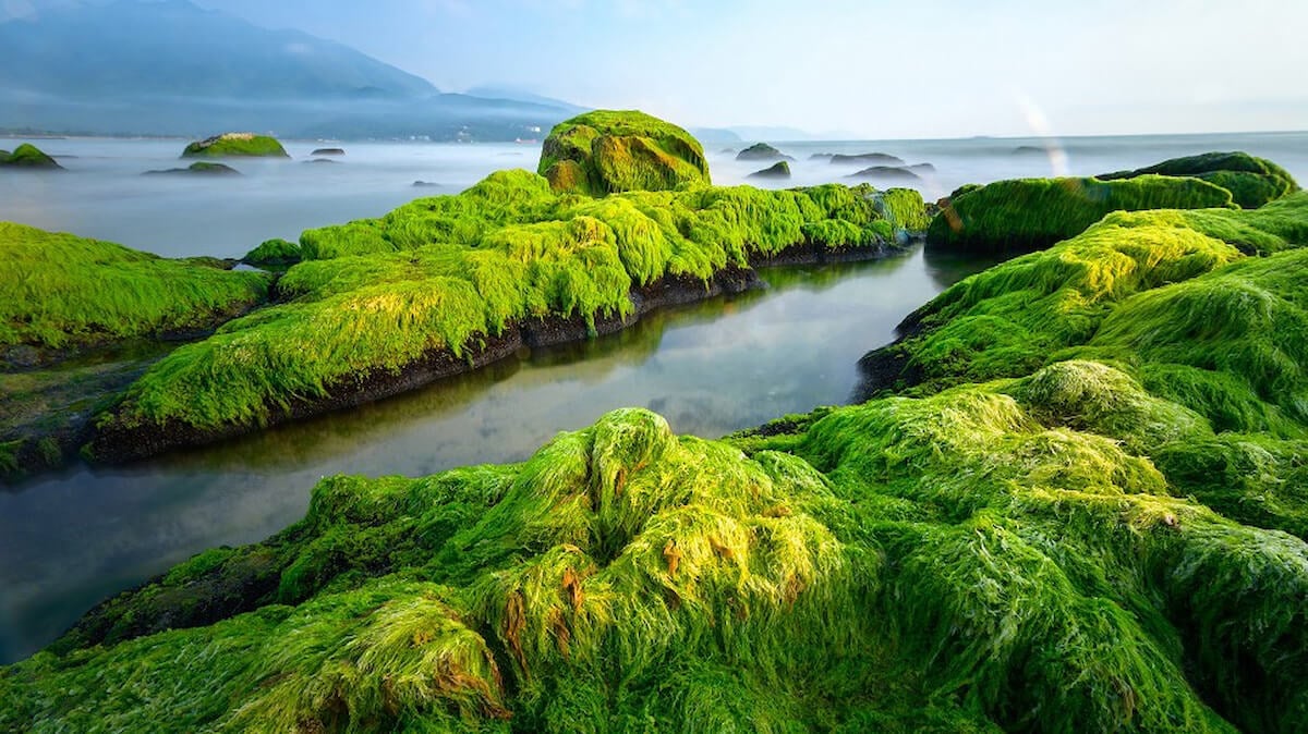 Top 10 Biển Đà Nẵng: Điểm Đến Nghỉ Dưỡng Đẳng Cấp, Trải Nghiệm Độc Đáo