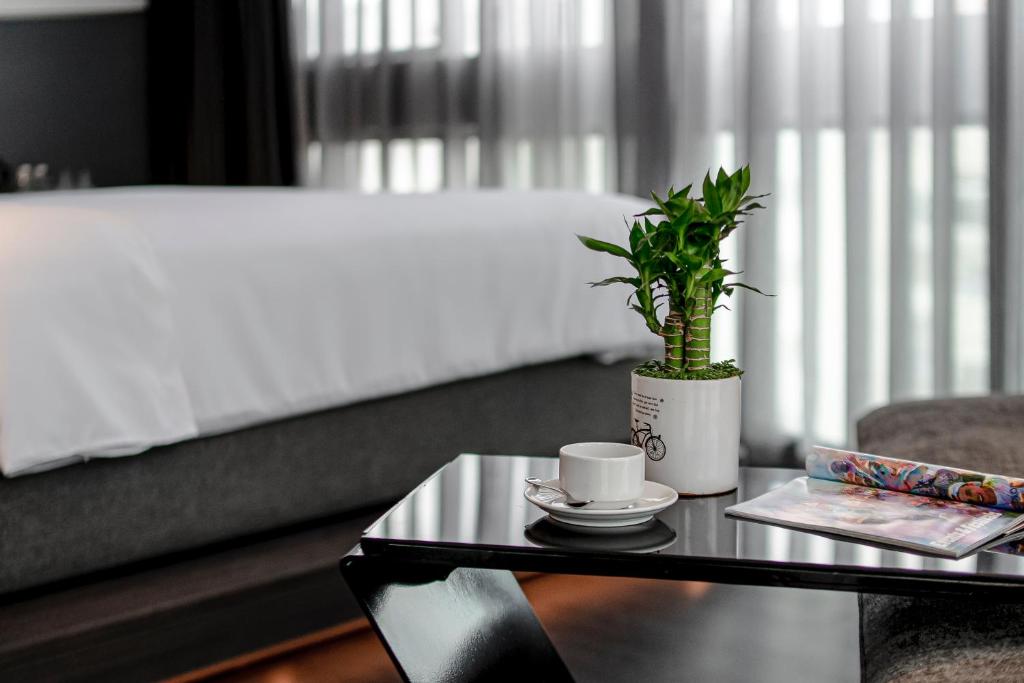 Review Draco Hotel & Suites: Trải nghiệm khách sạn & căn hộ tại Đà Nẵng