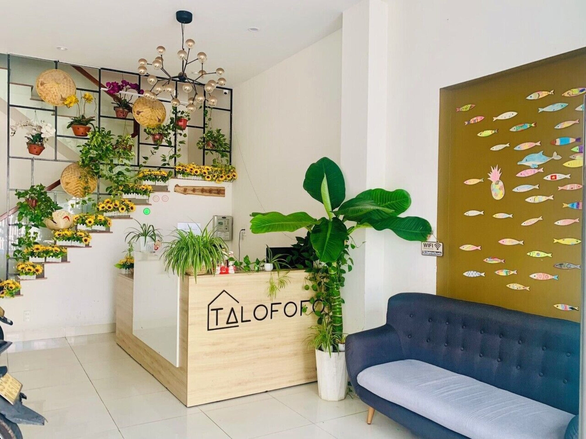 Review Talofofo Hostel: Lưu trú 2 sao tại khu Phước Mỹ Đà Nẵng
