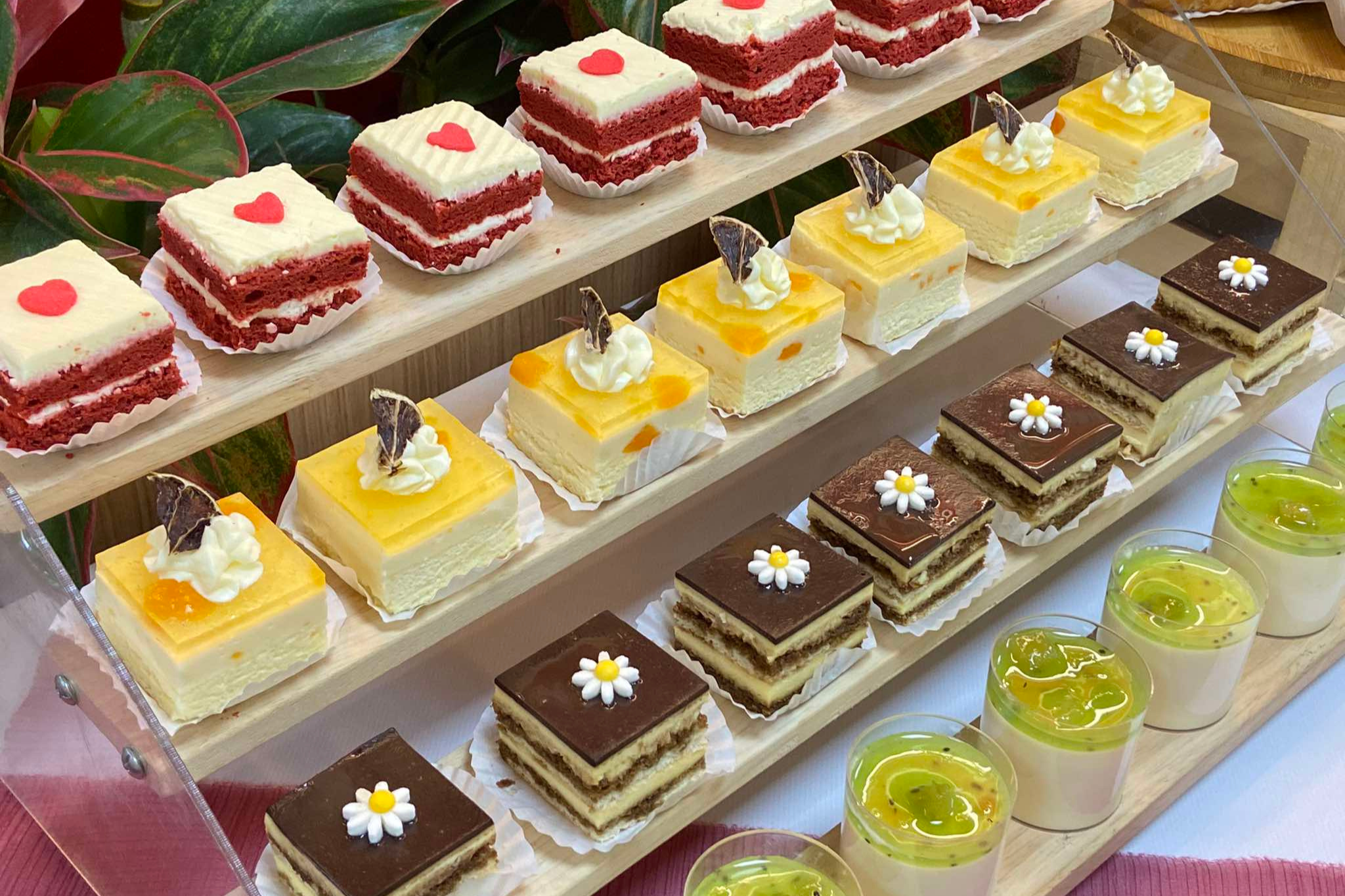 Top 10 tiệm bánh tiramisu Đà Nẵng khiến tín đồ hảo ngọt mê mẩn