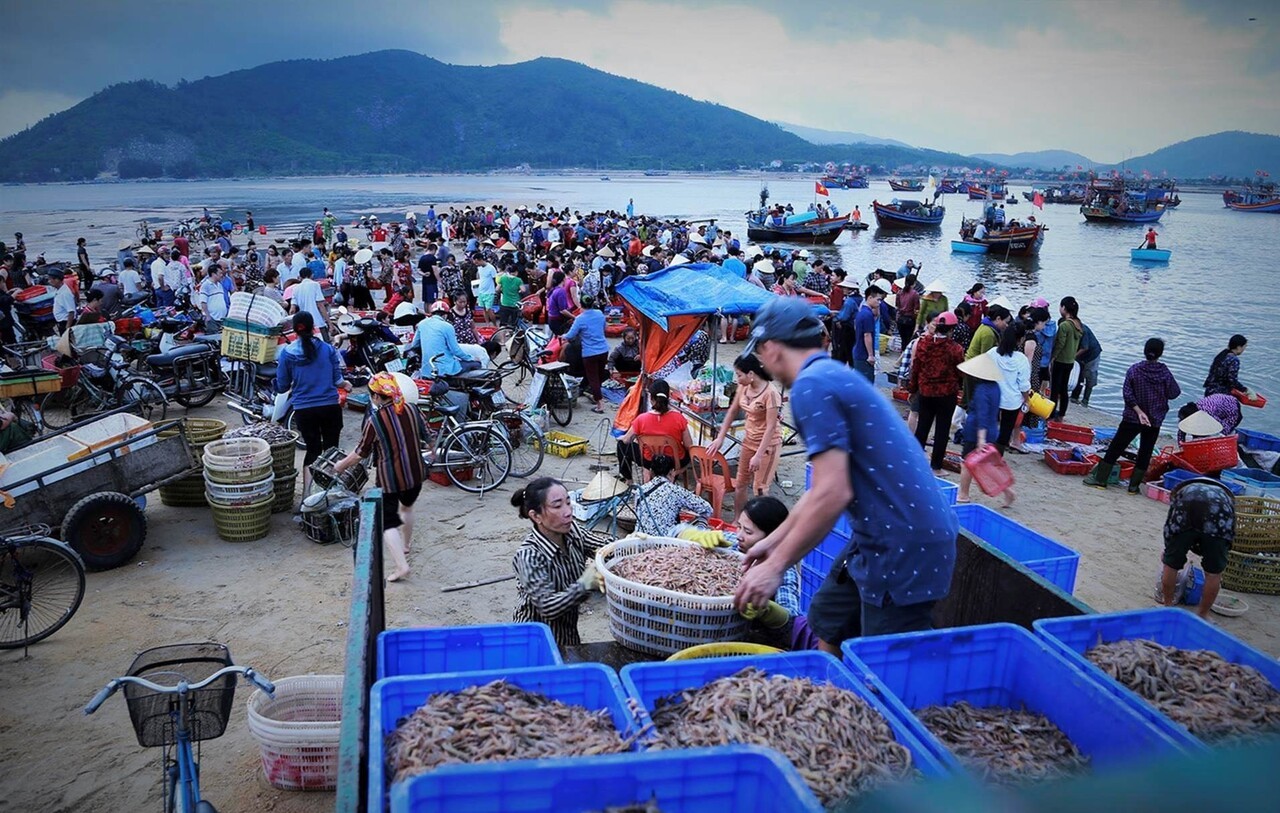 Top 12 chợ hải sản Đà Nẵng nổi tiếng được nhiều du khách lựa chọn