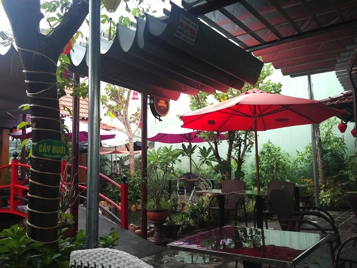 Top 10 địa chỉ cafe cá koi Đà Nẵng đẹp, không gian thư giãn và đồ uống đáng thử