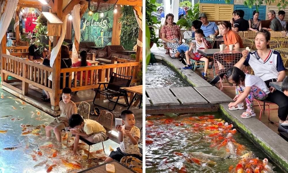 Top 10 địa chỉ cafe cá koi Đà Nẵng đẹp, không gian thư giãn và đồ uống đáng thử